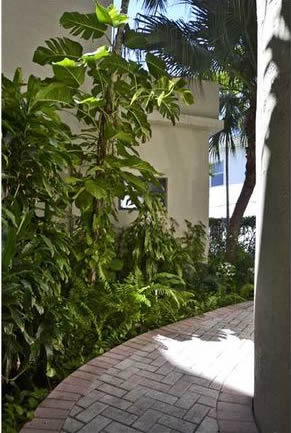 Apartamento em Miami Beach - 2 quartos / 2 banheiros - $250,000